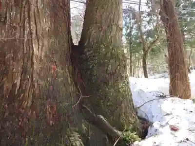 大神山神社奥宮(鳥取県)