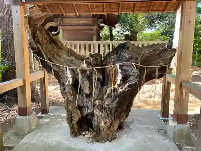 八雲氷川神社(東京都)