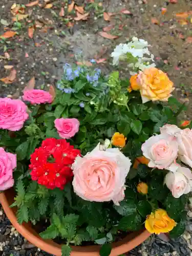 彌都加伎神社の自然