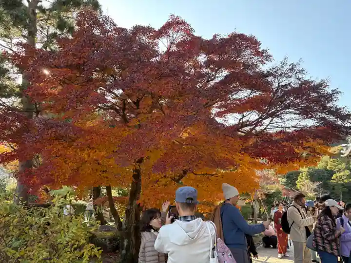 天龍寺(京都府)