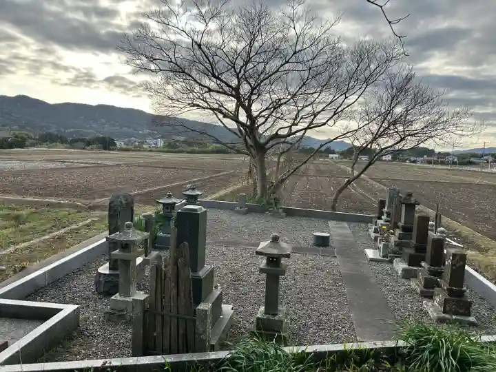 金乗院の{uncategorized: "未分類", other: "その他", undefined: "問題あり", building: "その他建物", grave: "お墓", sacred_gate: "鳥居", guardian: "狛犬", statue: "像", buddha: "仏像", history: "歴史", nature: "自然", garden: "庭園", animal: "動物", pagoda: "塔", temizu: "手水舎", mountain_gate: "山門・神門", sanctuary: "本殿・本堂", subordinate: "末社・摂社", art: "芸術", scenery: "景色", jizo: "地蔵", ema: "絵馬", goshuin: "御朱印", omikuji: "おみくじ", items: "授与品その他", amulet: "お守り", goshuincho: "御朱印帳", eats: "食事", festival: "お祭り", votive_dance: "神楽", shichigosan: "七五三参", wedding: "結婚式", experience: "体験その他", initially: "初詣", around: "周辺", anti_infection: "感染症対策"}