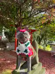 淡島神社の狛犬