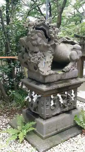 児玉神社の狛犬