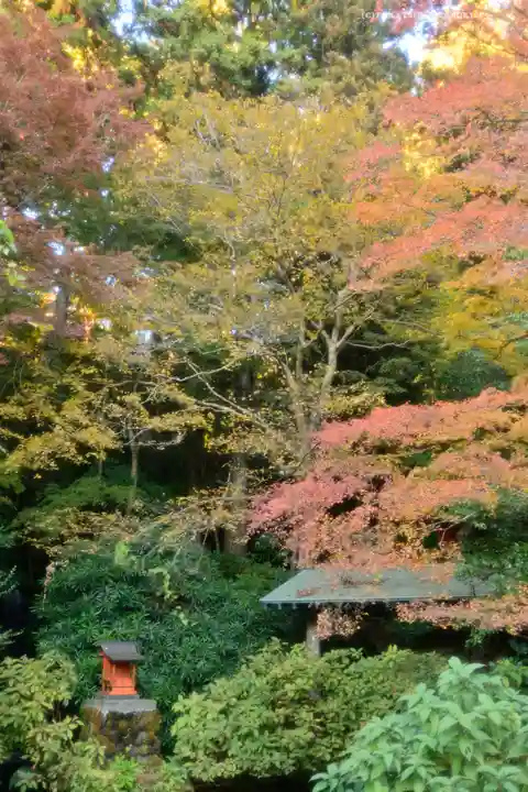 箱根神社(神奈川県)