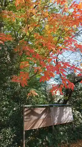 本太氷川神社の自然