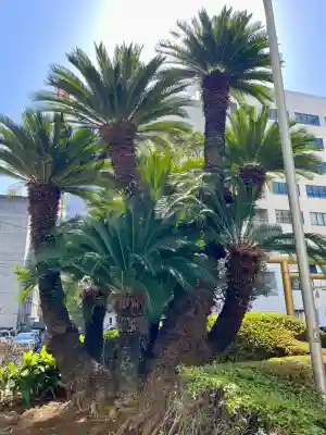 城岡神社の{uncategorized: "未分類", other: "その他", undefined: "問題あり", building: "その他建物", grave: "お墓", sacred_gate: "鳥居", guardian: "狛犬", statue: "像", buddha: "仏像", history: "歴史", nature: "自然", garden: "庭園", animal: "動物", pagoda: "塔", temizu: "手水舎", mountain_gate: "山門・神門", sanctuary: "本殿・本堂", subordinate: "末社・摂社", art: "芸術", scenery: "景色", jizo: "地蔵", ema: "絵馬", goshuin: "御朱印", omikuji: "おみくじ", items: "授与品その他", amulet: "お守り", goshuincho: "御朱印帳", eats: "食事", festival: "お祭り", votive_dance: "神楽", shichigosan: "七五三参", wedding: "結婚式", experience: "体験その他", initially: "初詣", around: "周辺", anti_infection: "感染症対策"}