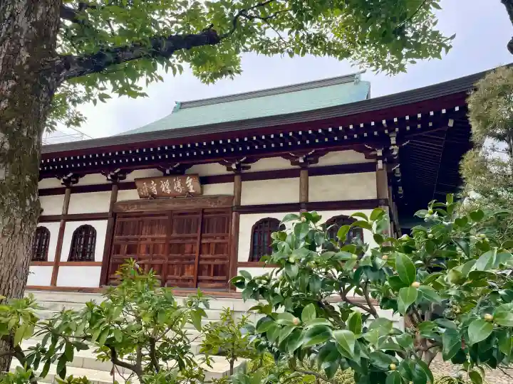 全勝寺の{uncategorized: "未分類", other: "その他", undefined: "問題あり", building: "その他建物", grave: "お墓", sacred_gate: "鳥居", guardian: "狛犬", statue: "像", buddha: "仏像", history: "歴史", nature: "自然", garden: "庭園", animal: "動物", pagoda: "塔", temizu: "手水舎", mountain_gate: "山門・神門", sanctuary: "本殿・本堂", subordinate: "末社・摂社", art: "芸術", scenery: "景色", jizo: "地蔵", ema: "絵馬", goshuin: "御朱印", omikuji: "おみくじ", items: "授与品その他", amulet: "お守り", goshuincho: "御朱印帳", eats: "食事", festival: "お祭り", votive_dance: "神楽", shichigosan: "七五三参", wedding: "結婚式", experience: "体験その他", initially: "初詣", around: "周辺", anti_infection: "感染症対策"}