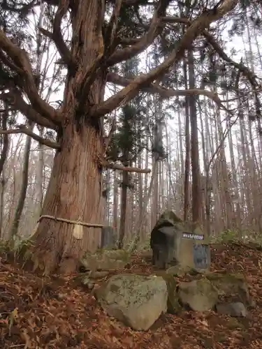 戸隠神社火之御子社のその他建物