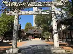 熊野神社の鳥居