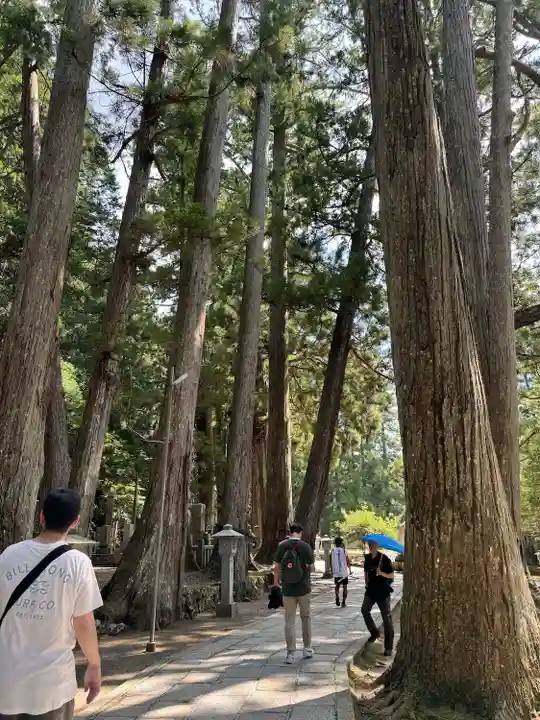 高野山金剛峯寺奥の院(和歌山県)