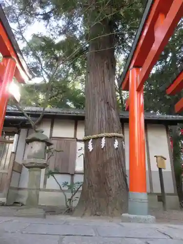 孫太郎稲荷神社（薬師寺境内社）の自然