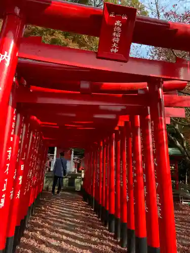 淡島神社の鳥居