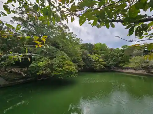 安房神社(千葉県)
