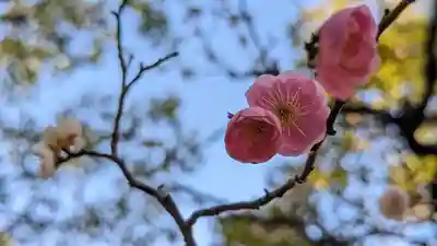  智積院(京都府)