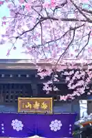 密藏院(埼玉県)