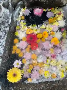 大鏑神社(福島県)(2023年02月18日(土) 11時22分34秒投稿)