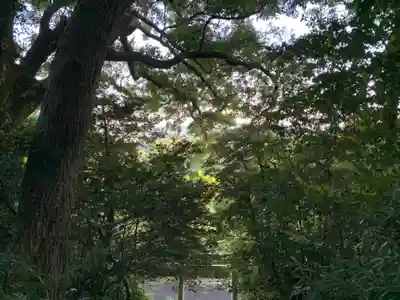 浅間神社の自然