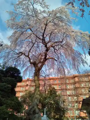 泰心院(宮城県)
