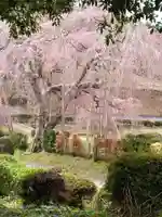 栄存神社(宮城県)