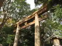 明治神宮の鳥居