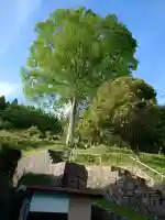 正徳院の{uncategorized: "未分類", other: "その他", undefined: "問題あり", building: "その他建物", grave: "お墓", sacred_gate: "鳥居", guardian: "狛犬", statue: "像", buddha: "仏像", history: "歴史", nature: "自然", garden: "庭園", animal: "動物", pagoda: "塔", temizu: "手水舎", mountain_gate: "山門・神門", sanctuary: "本殿・本堂", subordinate: "末社・摂社", art: "芸術", scenery: "景色", jizo: "地蔵", ema: "絵馬", goshuin: "御朱印", omikuji: "おみくじ", items: "授与品その他", amulet: "お守り", goshuincho: "御朱印帳", eats: "食事", festival: "お祭り", votive_dance: "神楽", shichigosan: "七五三参", wedding: "結婚式", experience: "体験その他", initially: "初詣", around: "周辺", anti_infection: "感染症対策"}