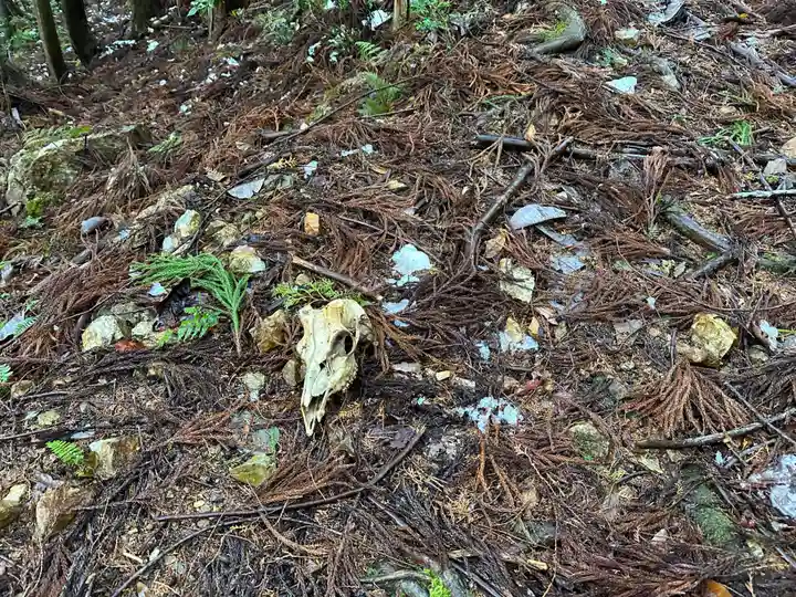 大水別神社(鉛練比古神社奥宮)(滋賀県)
