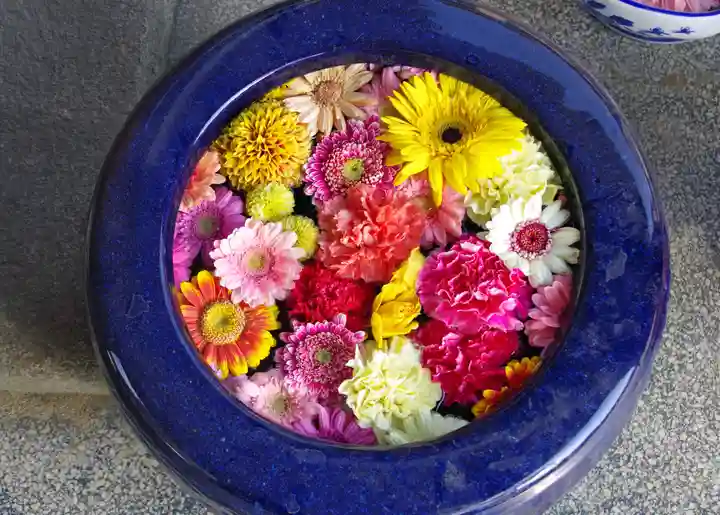 三津厳島神社(愛媛県)