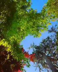 滑川神社 - 仕事と子どもの守り神の景色