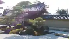 観智院（東寺子院）の山門