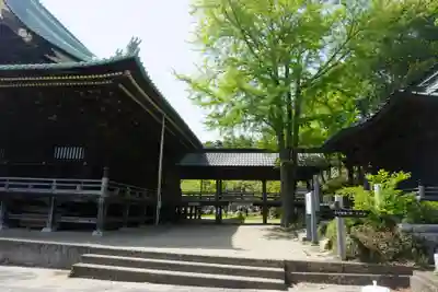 村松虚空蔵堂(日高寺)の本殿・本堂