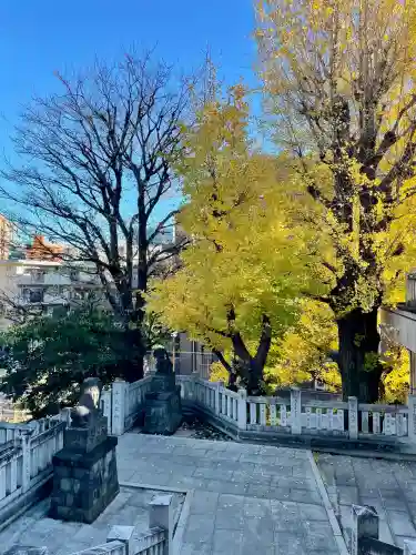 桐ヶ谷氷川神社(東京都)