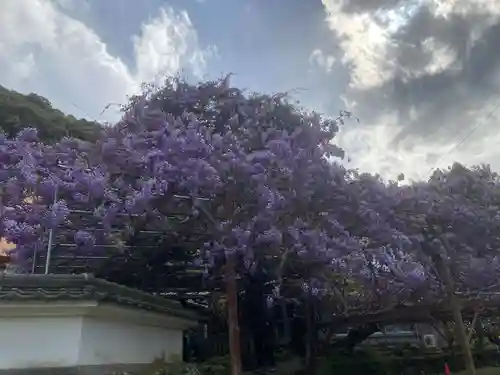 神光寺(徳島県)