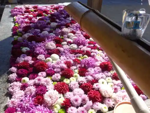 横浜　西方寺の手水舎