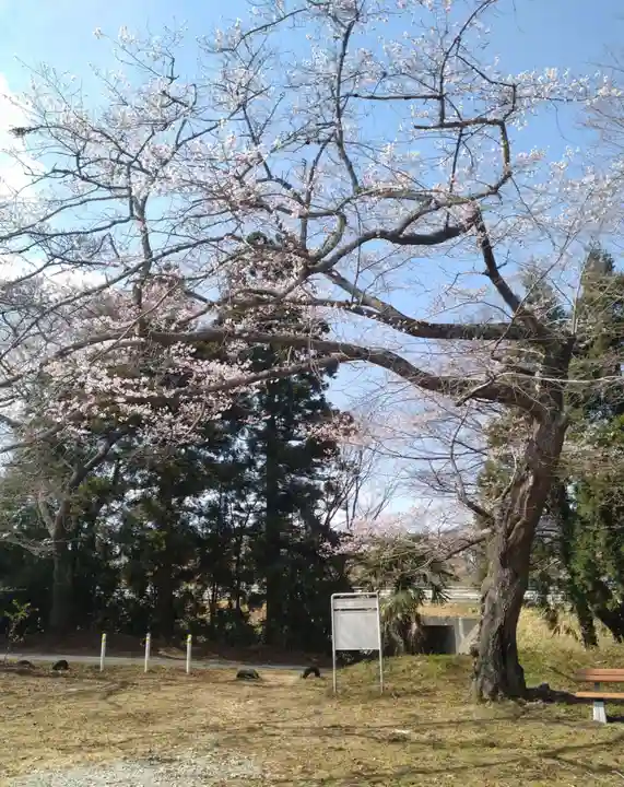 當護稲荷神社(宮城県)
