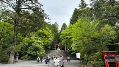霧島神宮(鹿児島県)