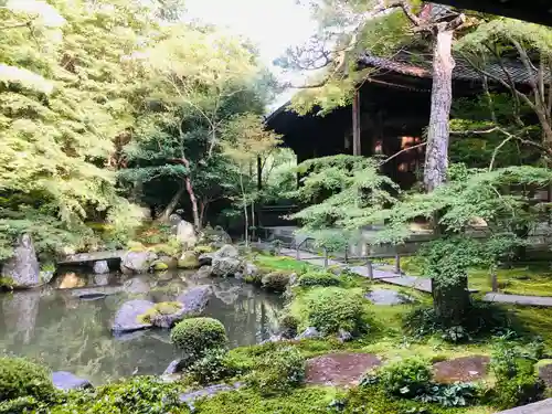 蓮華寺（洛北蓮華寺）の庭園