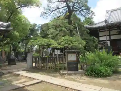 国土安穏寺(東京都)