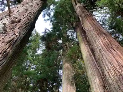 鹿島大神宮(福島県)