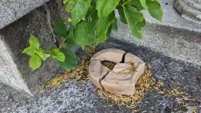 聖徳太子堂・馬頭観世音の庭園