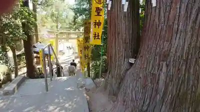 聖神社のその他建物