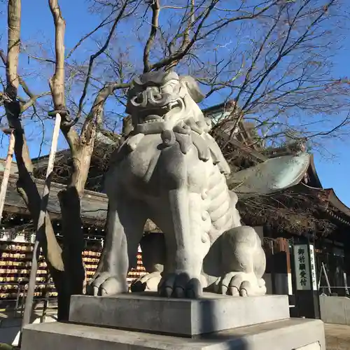 寒川神社の狛犬