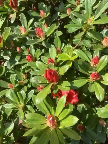 三輪神社の自然