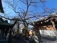 興覚寺(大阪府)