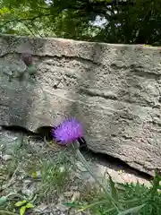 掎鹿寺の自然