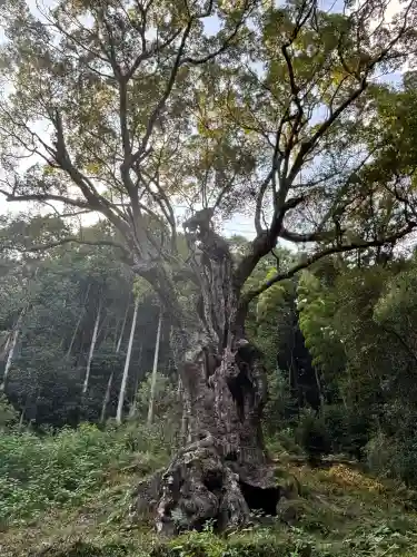 武雄神社(佐賀県)