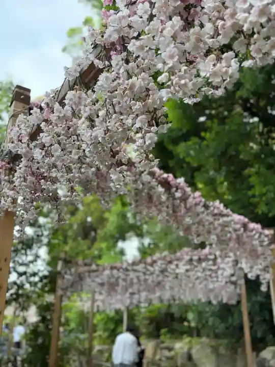 川越氷川神社(埼玉県)