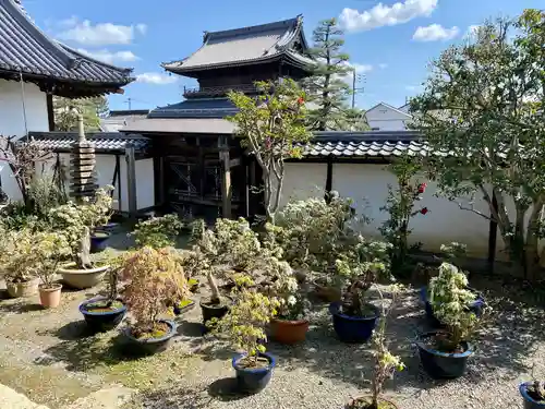 大通寺（長浜御坊）(滋賀県)