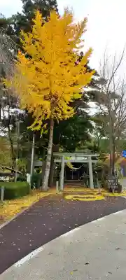  岳温泉神社 の{uncategorized: "未分類", other: "その他", undefined: "問題あり", building: "その他建物", grave: "お墓", sacred_gate: "鳥居", guardian: "狛犬", statue: "像", buddha: "仏像", history: "歴史", nature: "自然", garden: "庭園", animal: "動物", pagoda: "塔", temizu: "手水舎", mountain_gate: "山門・神門", sanctuary: "本殿・本堂", subordinate: "末社・摂社", art: "芸術", scenery: "景色", jizo: "地蔵", ema: "絵馬", goshuin: "御朱印", omikuji: "おみくじ", items: "授与品その他", amulet: "お守り", goshuincho: "御朱印帳", eats: "食事", festival: "お祭り", votive_dance: "神楽", shichigosan: "七五三参", wedding: "結婚式", experience: "体験その他", initially: "初詣", around: "周辺", anti_infection: "感染症対策"}