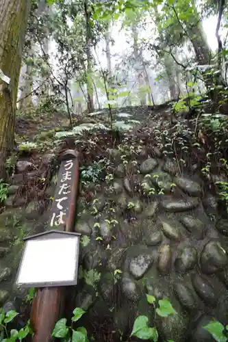 武蔵御嶽神社(東京都)