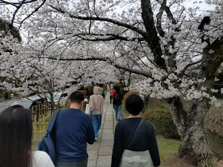慈照寺(慈照禅寺・銀閣寺)の{uncategorized: "未分類", other: "その他", undefined: "問題あり", building: "その他建物", grave: "お墓", sacred_gate: "鳥居", guardian: "狛犬", statue: "像", buddha: "仏像", history: "歴史", nature: "自然", garden: "庭園", animal: "動物", pagoda: "塔", temizu: "手水舎", mountain_gate: "山門・神門", sanctuary: "本殿・本堂", subordinate: "末社・摂社", art: "芸術", scenery: "景色", jizo: "地蔵", ema: "絵馬", goshuin: "御朱印", omikuji: "おみくじ", items: "授与品その他", amulet: "お守り", goshuincho: "御朱印帳", eats: "食事", festival: "お祭り", votive_dance: "神楽", shichigosan: "七五三参", wedding: "結婚式", experience: "体験その他", initially: "初詣", around: "周辺", anti_infection: "感染症対策"}
